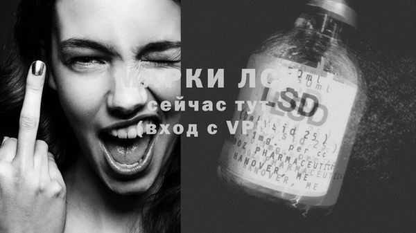 apvp Аркадак