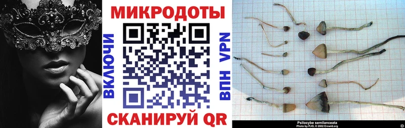 Галлюциногенные грибы мухоморы  блэк спрут tor  Краснослободск 