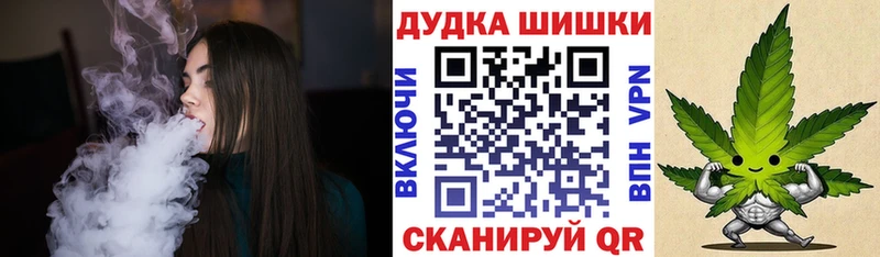 Бошки Шишки планчик  Краснослободск 